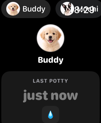 PottyTime Apple Watch dashboard after logging